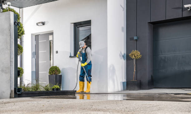 Best Driveway Pressure Washing  in Snowmass Village, CO
